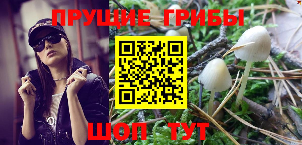 Галлюциногенные грибы Cubensis  как найти   Рыбинск  Вход с VPN  Псилоцибиновые грибы прущие грибы 