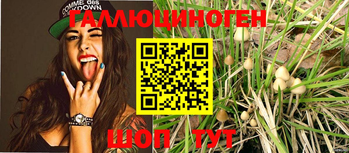 Псилоцибиновые грибы мухоморы Рыбинск